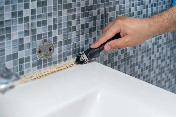 Reliable Troup, TX Mold Remediation Solutions